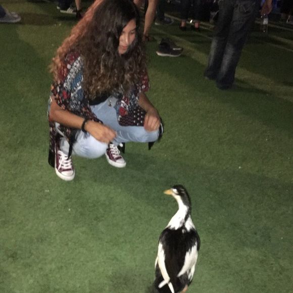 Meet your Posher, Brenda - Picture 1 of 1